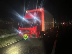 Cavalo morre atropelado ao tentar cruzar rodovia em Arapongas
