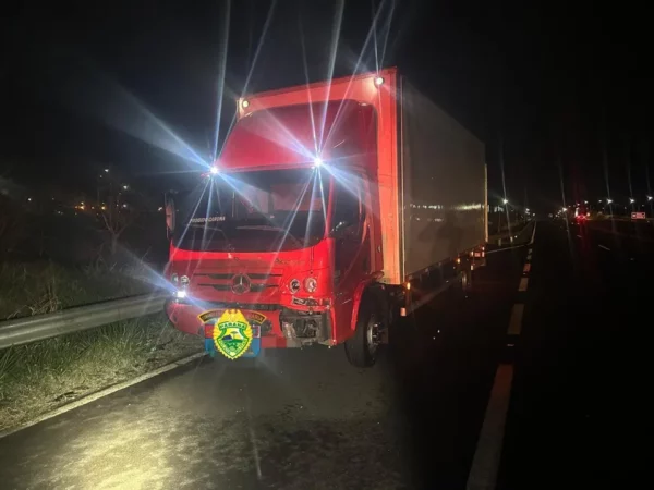 Cavalo morre atropelado ao tentar cruzar rodovia em Arapongas