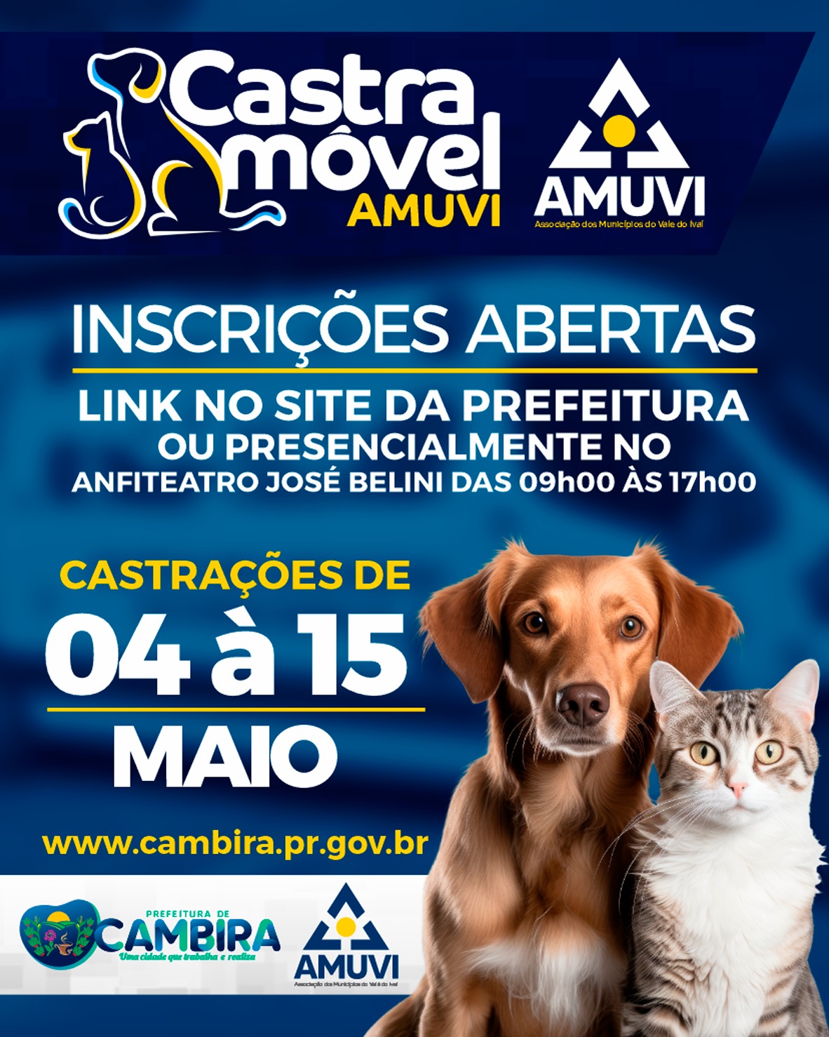 Imagem 1