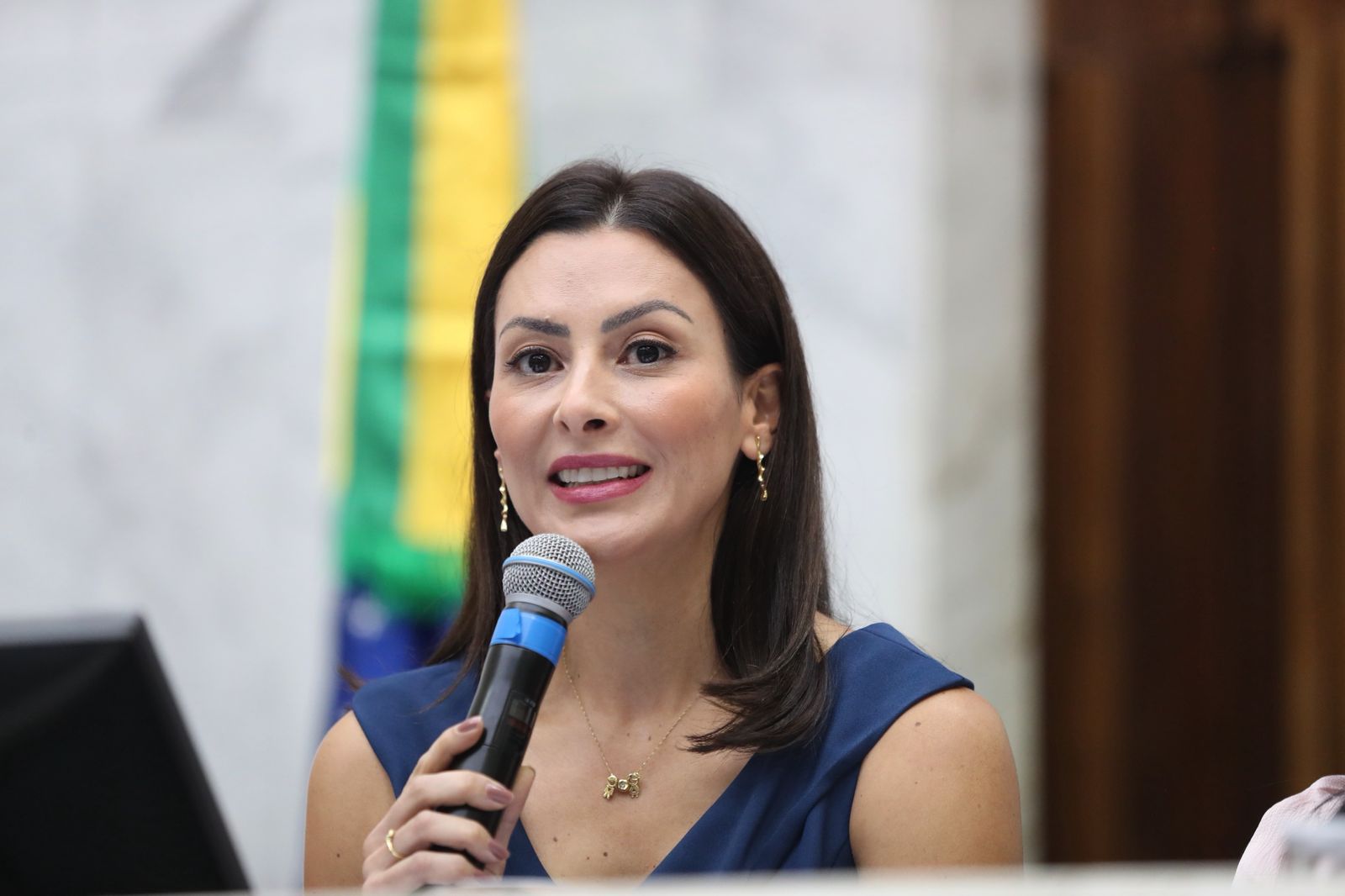 Imagem 1