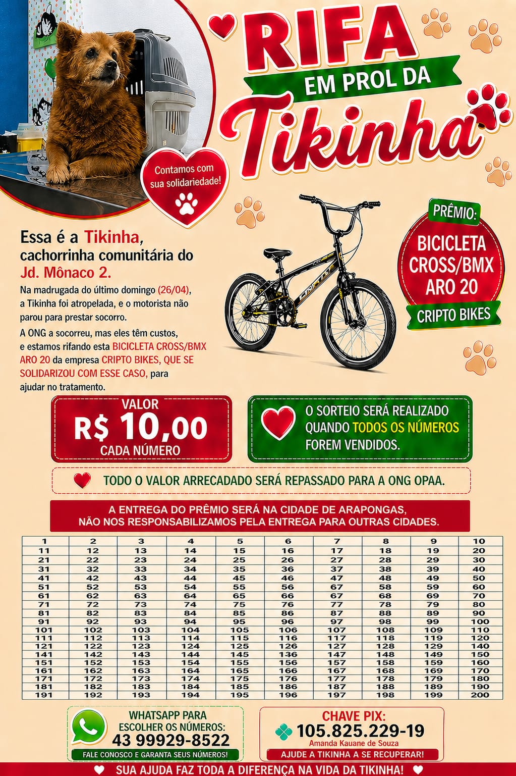 Imagem 1