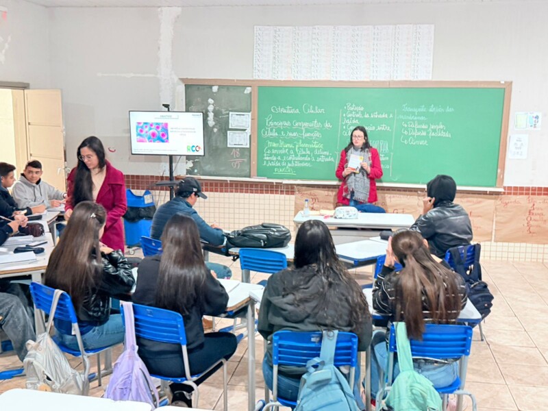 Imagem 1