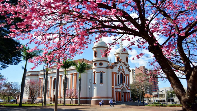 Imagem 1